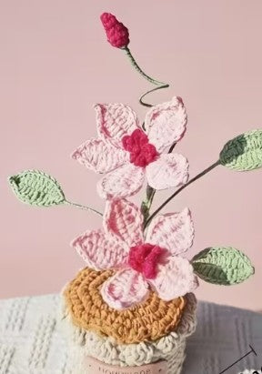 Double Tropical Flower