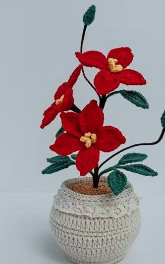 Triple Tropical flower Red