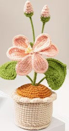 Tropical flower Pink