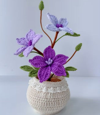 Orquid purple