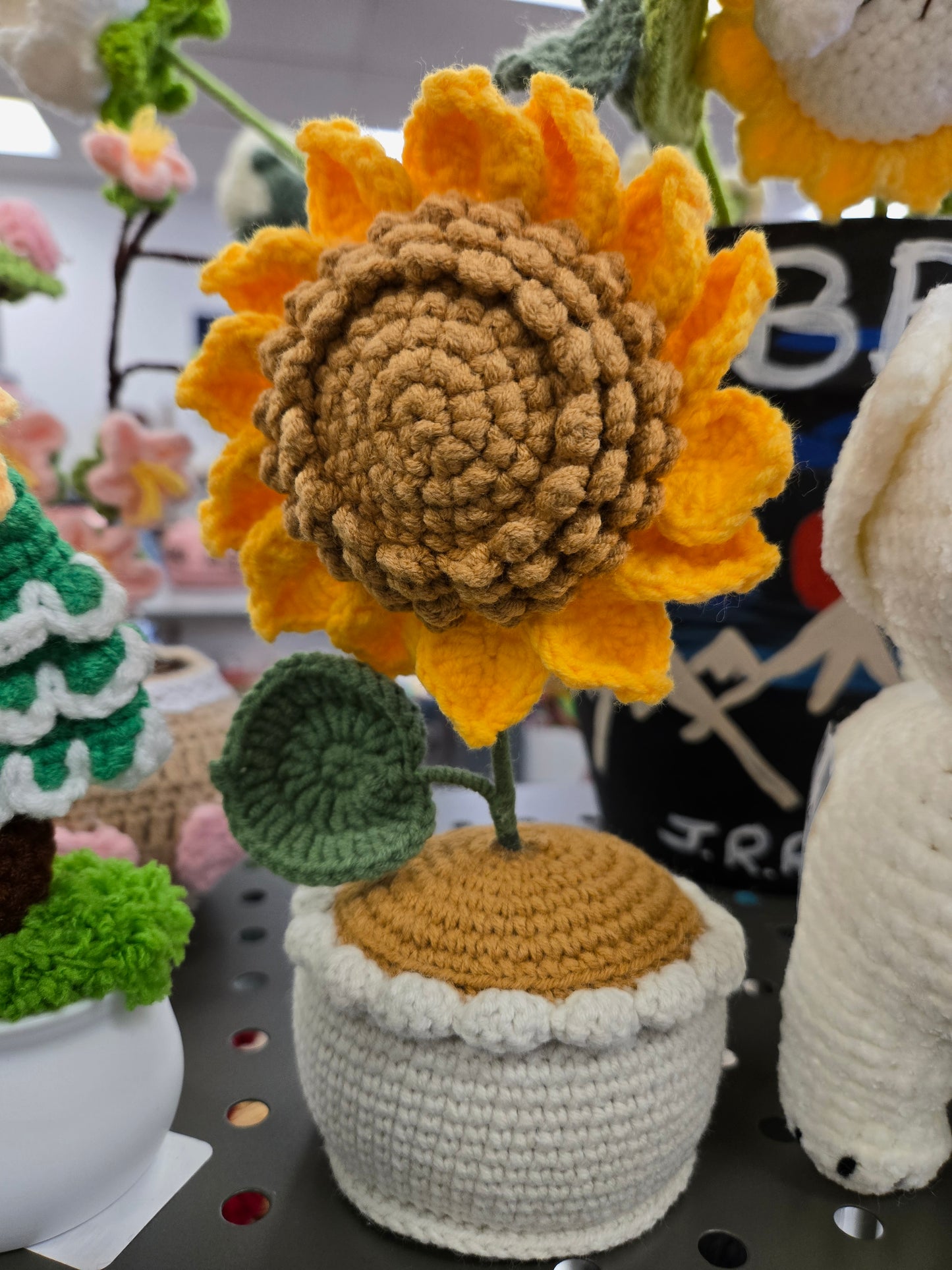 Sunflower in beige pot