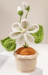 Tropical flower White