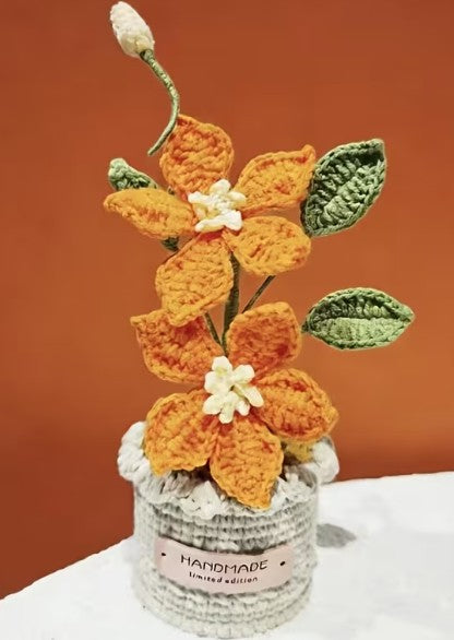 Double Tropical Flower