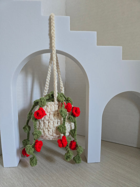 Hanging Plant